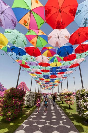 miracle garden