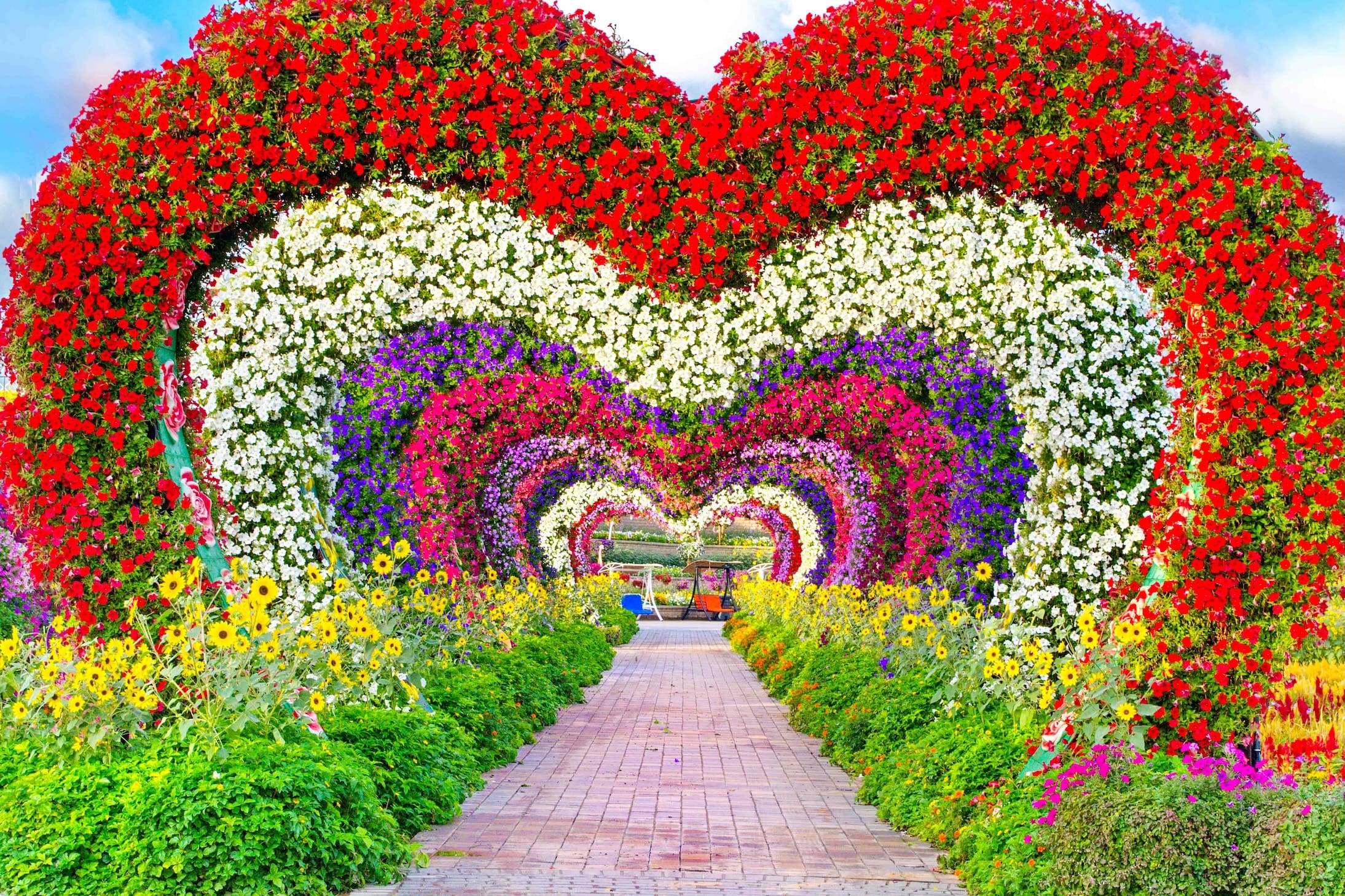 miracle garden2